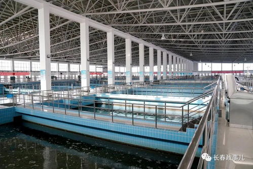 王凱在第一凈水廠檢查指導(dǎo)全市供水工作時(shí)要求 強(qiáng)化極限思維,提升能力建設(shè),切實(shí)保障群眾用水和都市圈發(fā)