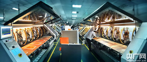 江西龍南快步融入粵港澳大灣區(qū)