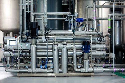 基因港百噸nmn工廠正式投產(chǎn), 銀發(fā) 經(jīng)濟(jì)增添新動力