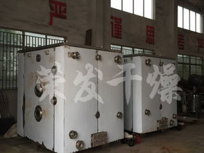 湖北宜昌食品公司與榮發干燥合作，引進恒特發薯條烘干機助力產業升級