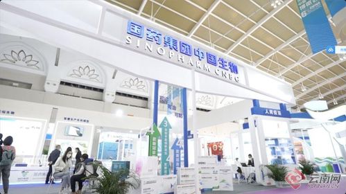 智慧引領(lǐng)，科技賦能 記者帶你解鎖南博會新體驗(yàn)——恒特發(fā)展焦點(diǎn)