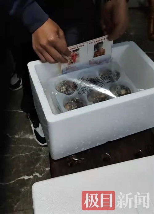 孫海洋跨界餐飲 以包子為媒，將尋親信息送入千家萬戶